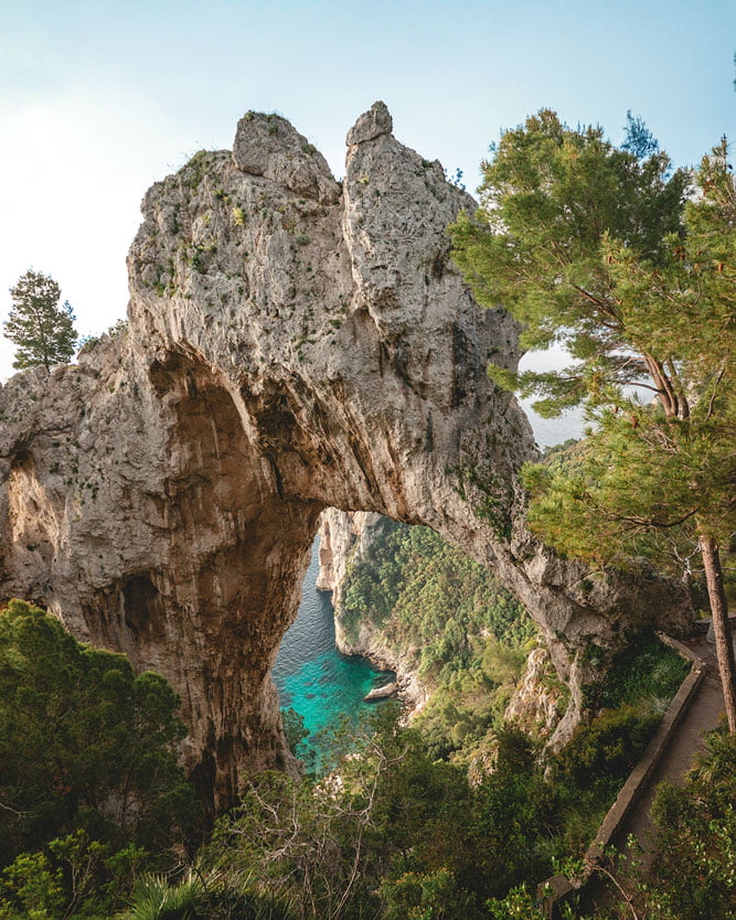 Vegetazione di Capri