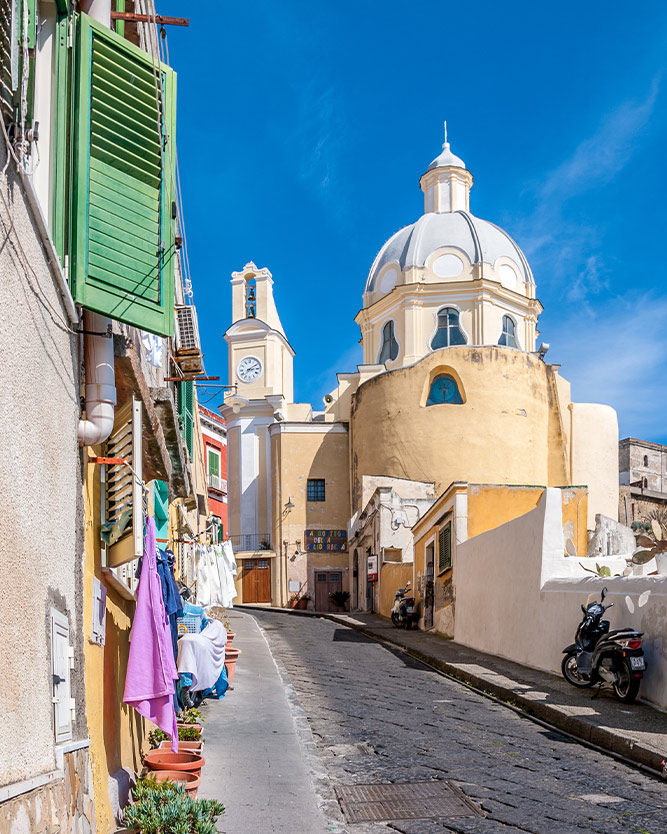 procida corriccella